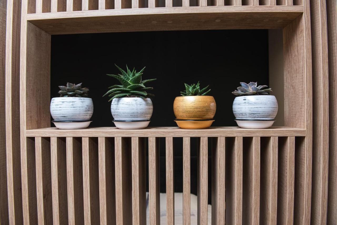 Luxury Apartments Petofi ウージュホロド エクステリア 写真
